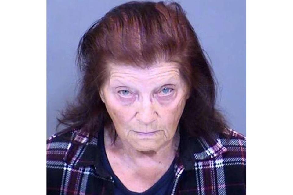 <p>Polk County Sheriffâ€™s Department</p> Mary Jo Bailey mugshot