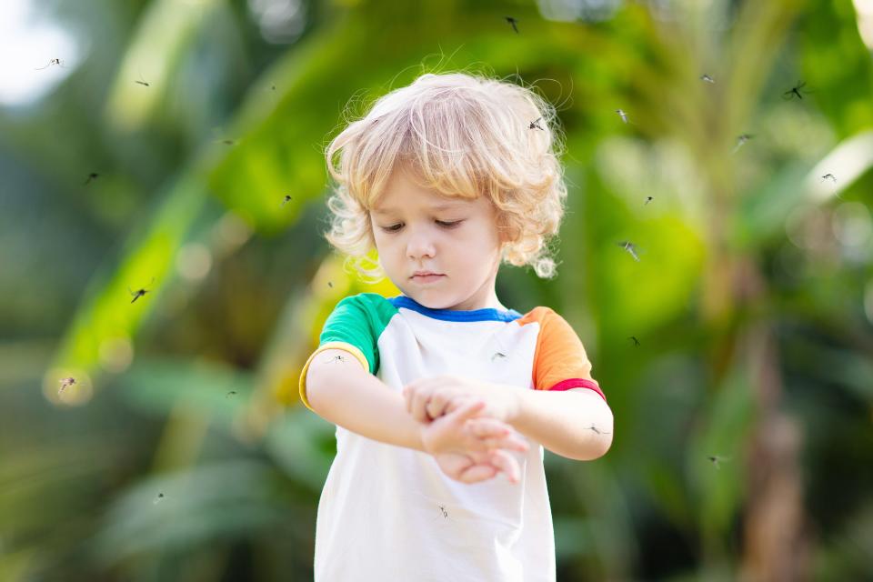 Insect bites and stings can sometimes spread disease or cause dangerous allergic reactions and infections.