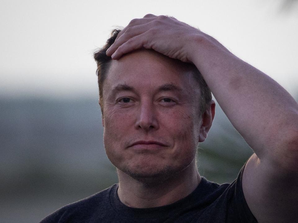 A picture of Elon Musk from the shoulders up. He's wearing a black t-shirt and clasping his left hand to his head with a calm expression on his face.