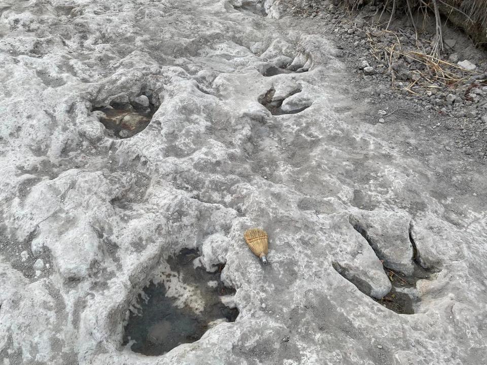 Three-toed tracks nearby larger ones in Dinosaur Valley State Park in Glen Rose, Texas, August 2023, after a riverbed dried up.