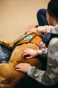 students pet a therapy dog