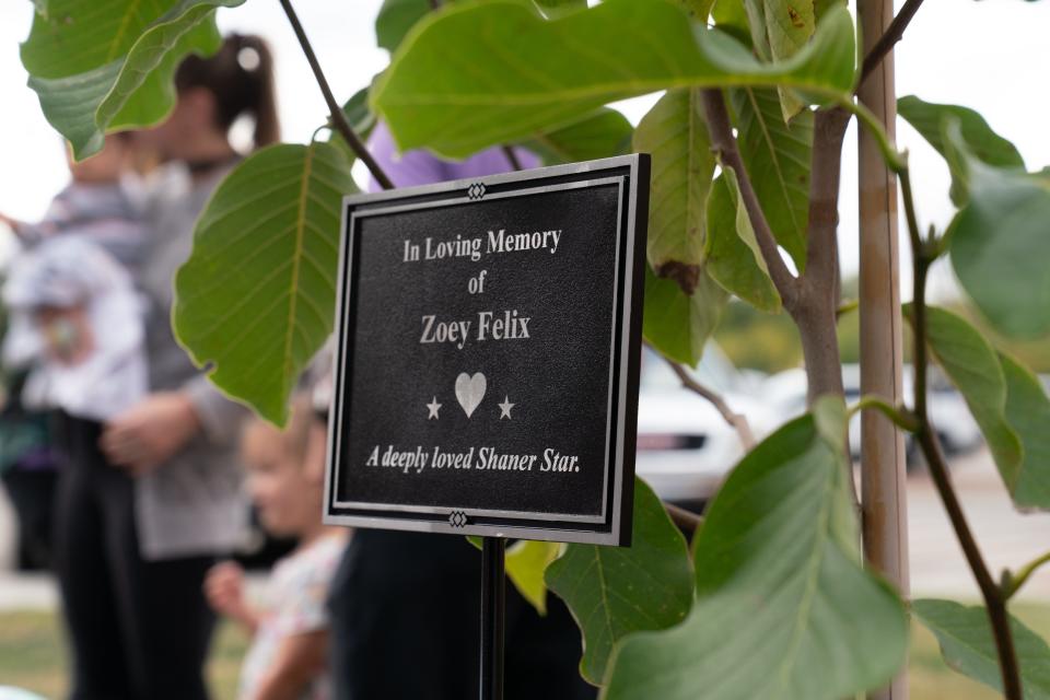 A plaque in front of a yellow marigold tree at Shaner Elementary School is dedicated to the late Zoey Felix during a ceremony Thursday evening.