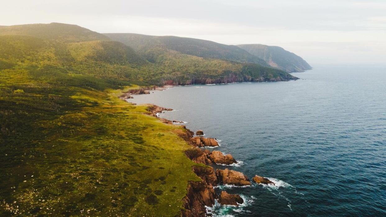 Lowland Cove in Cape Breton is part of the Nova Scotia Nature Trust's network of protected lands. (Submitted by Ashley MacDonald - image credit)