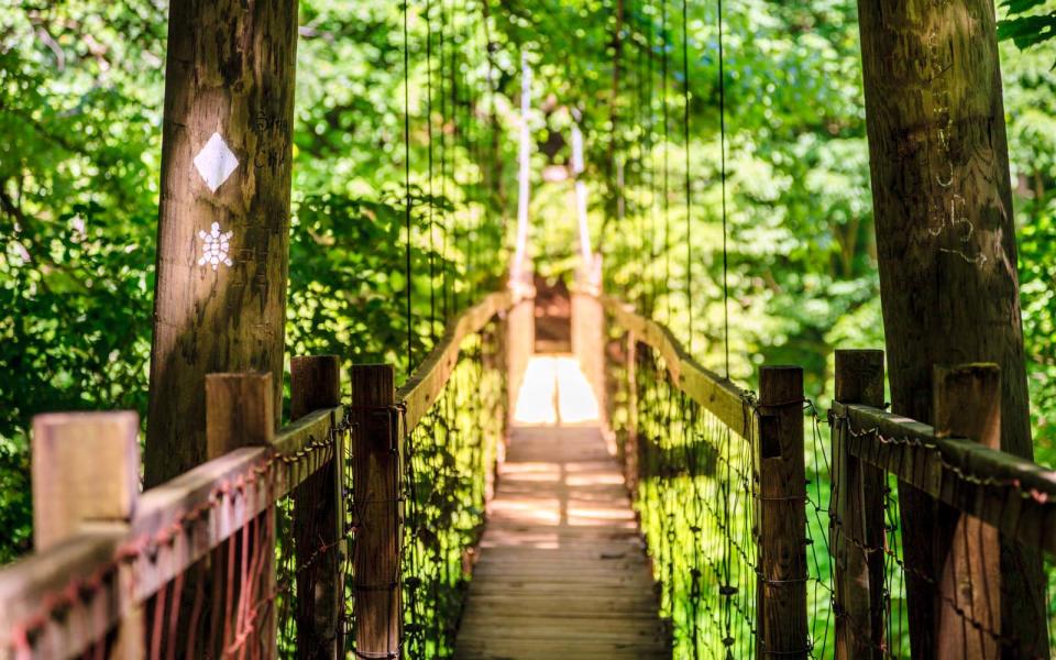 Kentucky — Daniel Boone National Forest