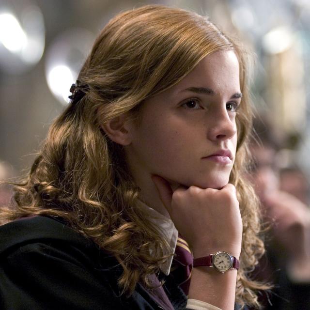 Hermione Granger Is My Hero