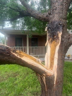 Lightening strike brought down tree in Country Estate in Hutto | KXAN viewer photo