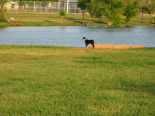 Texas: Camp Barkeley Dog Park