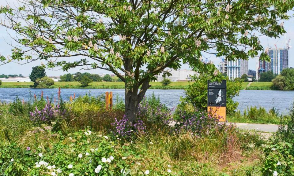 The entrance to Walthamstow Wetlands, North London UK, with new apartments under construction in the background