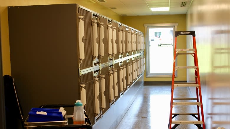 Brand new Sherbrooke animal shelter gets cat condos, 'state-of-the-art' clinic