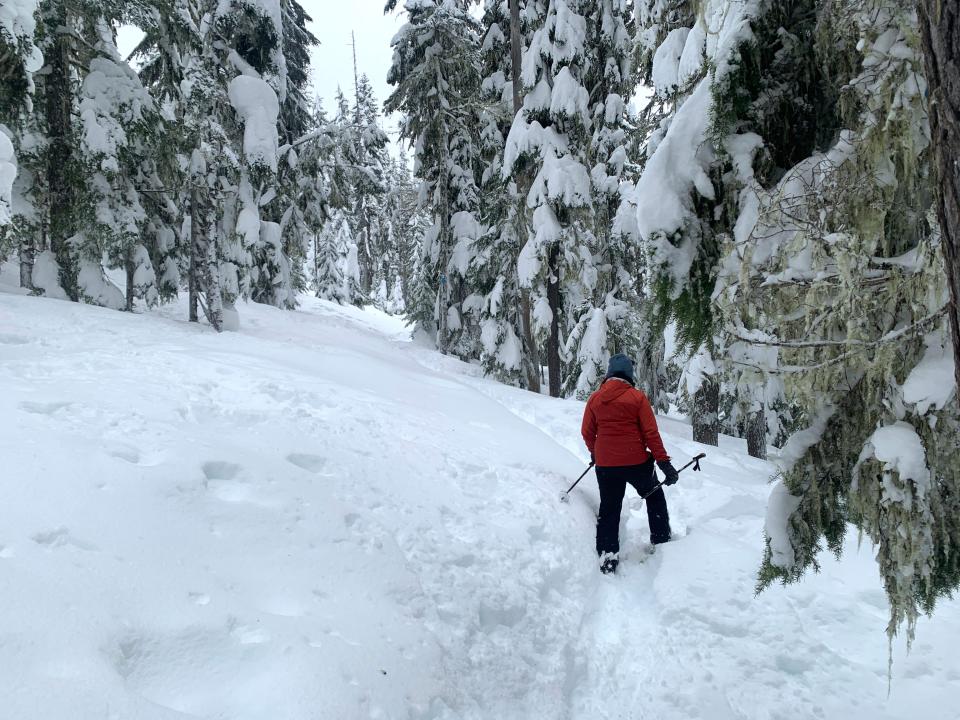 The route to Westview Shelter requires snowshoeing or skiing around 2 miles round-trip from Gold Lake Sno-Park.
