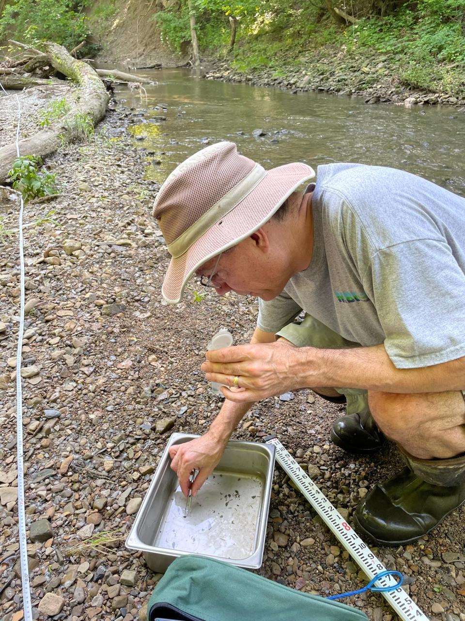 Doug Spieles counts invertebrates found in a stream in central Ohio.