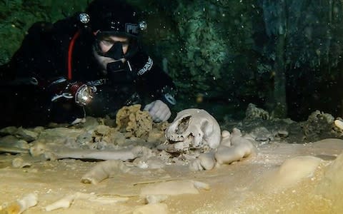 A diver from the Great Mayan Aquifer project looking at human remains