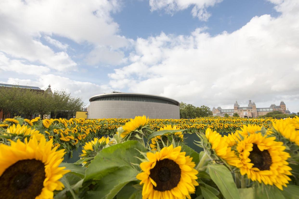 the van gogh museum in amsterdam