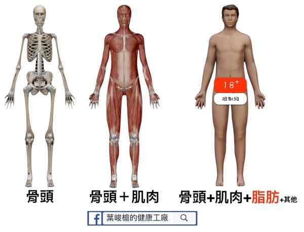 進擊的脂肪！小心中樞型肥胖會「傷心」