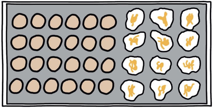 eggs on griddle illustration