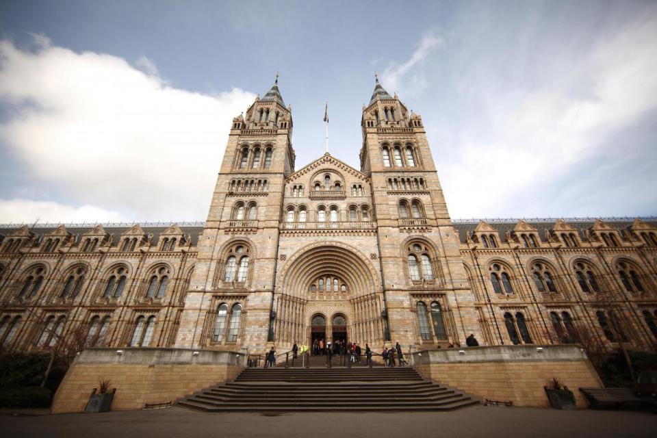 Natural History Museum (Getty Images)