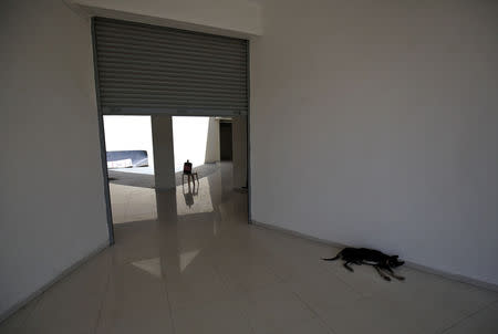 A dog rests in an empty shopping centre at the Gujarat International Finance Tec-City (GIFT) at Gandhinagar, Gujarat, March 18, 2019. REUTERS/Amit Dave