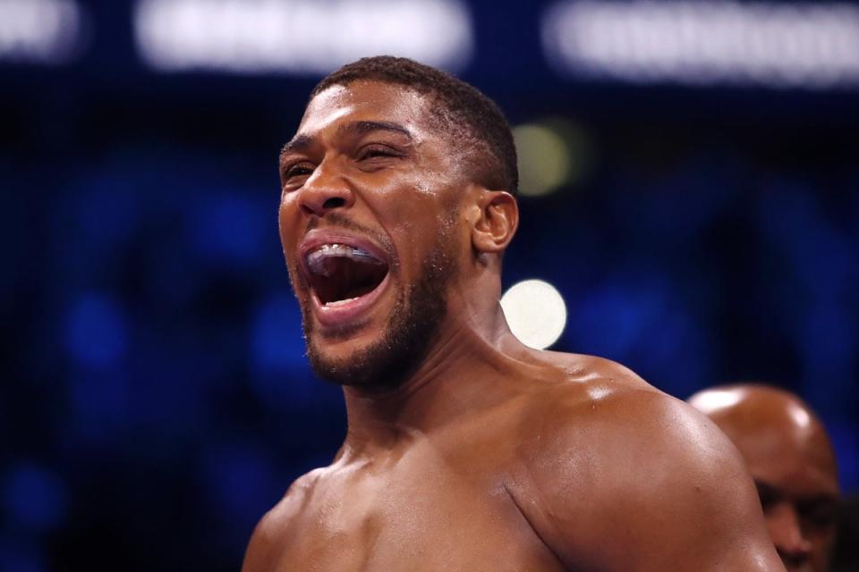 Anthony Joshua can set up an exciting 2024 with victory over Otto Wallin (Getty Images)