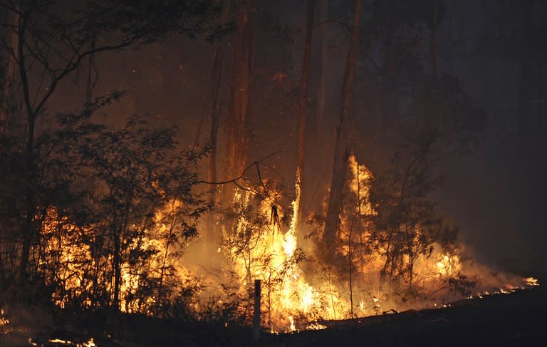 Flames light up the sky in March 2009, during the firestorm that hit the Kilmore East forest region, northeast of Melbourne, Australia. Survivors of the firestorm that killed 119 people have launched a class action against a Singapore power company over the disaster which lawyers described as "entirely preventable"