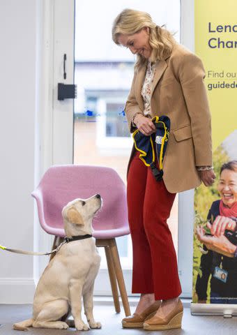 <p> PAUL GROVER/POOL/AFP via Getty</p> Sophie, the Duchess of Edinburgh visits a puppy class at the Guide Dogs for the Blind Association Training Centre in Reading on May 8.