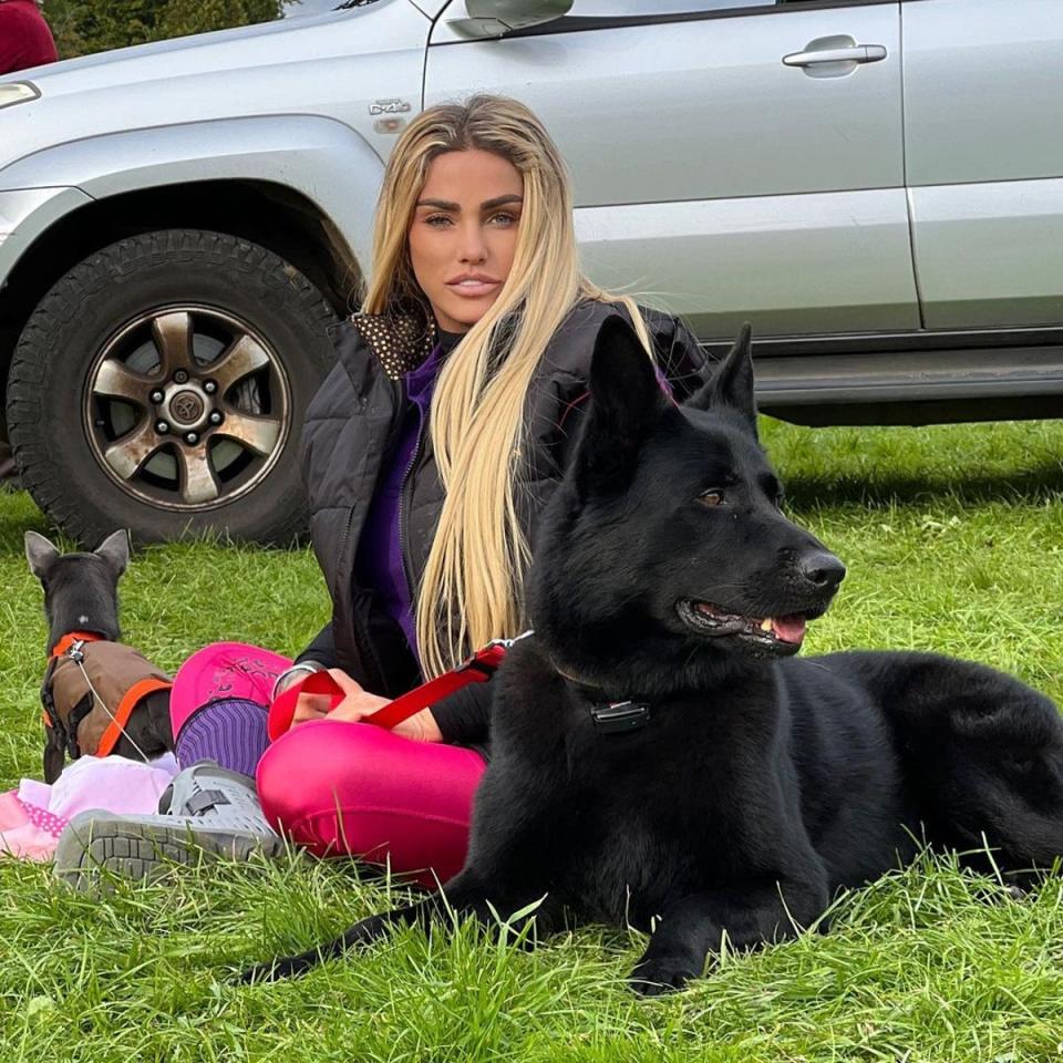 Katie Price pictured with her dog Blade who died in June after being hit by a car (Instagran)