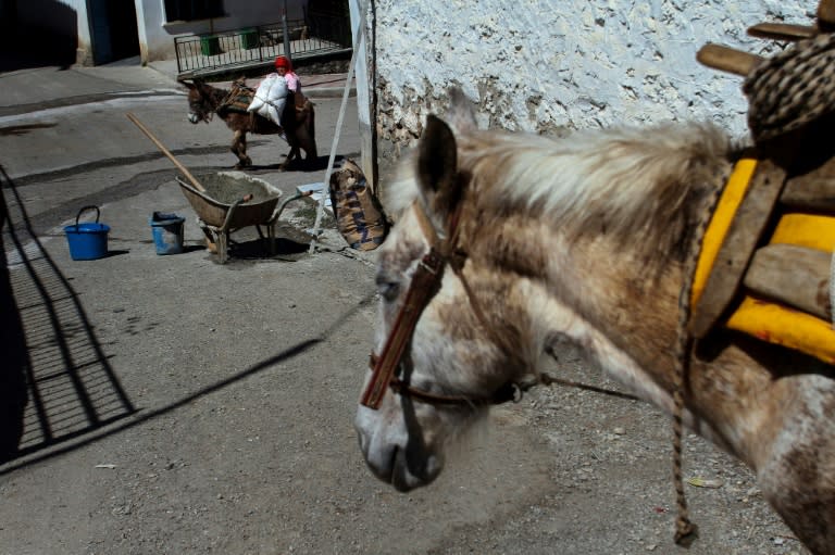 A woman carries supplies with her donkey in a street in the village of Trebisht, some 160 km south-east of Tirana in April. Trebisht in northeastern Albania looks like a ghost village, emptied of its residents by a rush to get Bulgarian passports