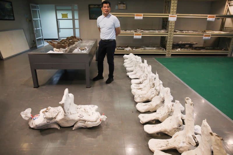 A Thai archaeologist stands next to a whale skeleton in Pathum Thani