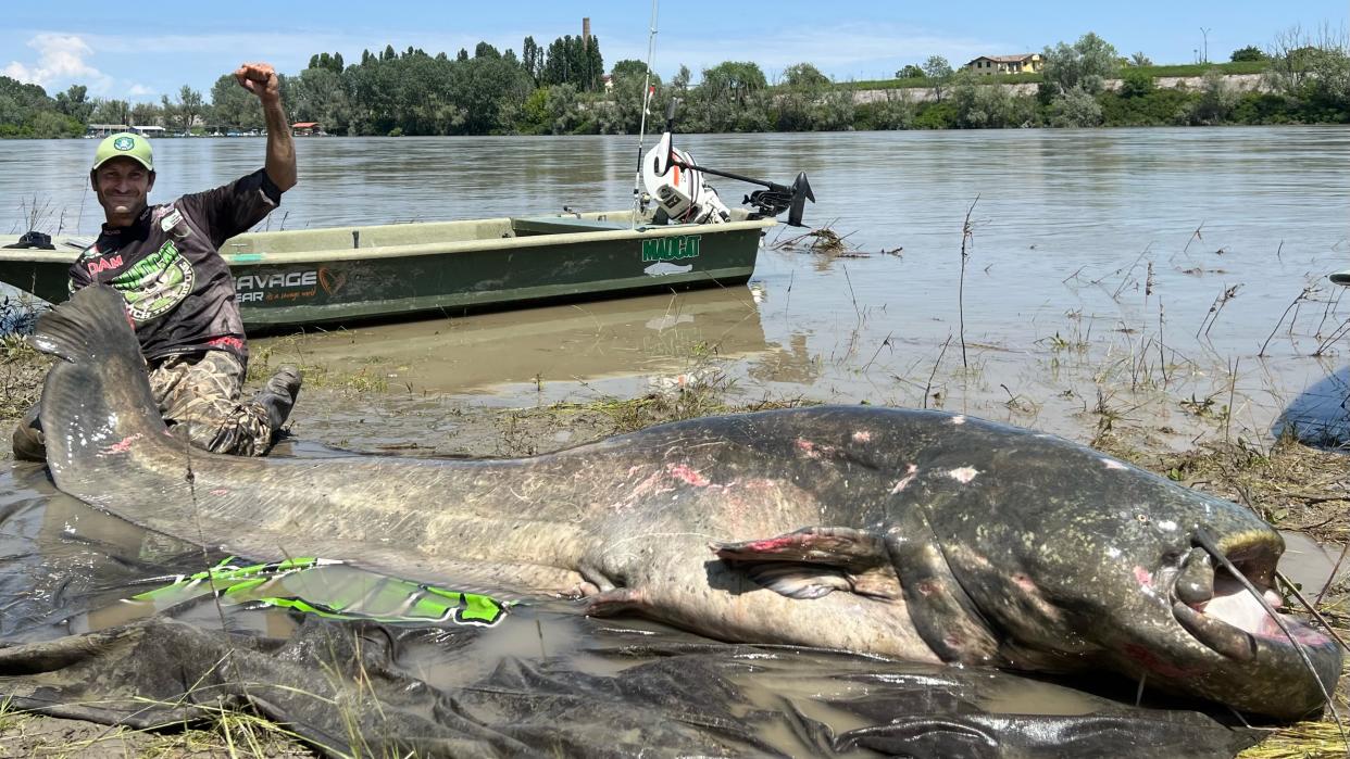  Alessandro Biancardi poses with his massive catch, a 9.4-foot-long wels catfish, on the banks of the River Po. 