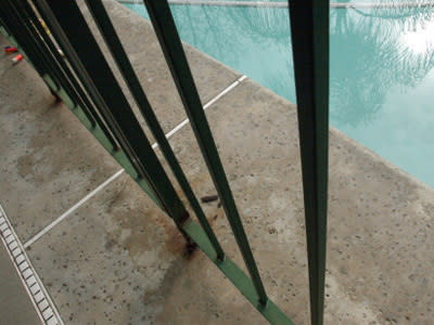 <p>Toddlers almost drown in backyard pool</p>
