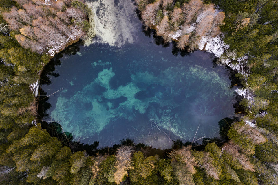 Aerial view of lake surrounded by trees