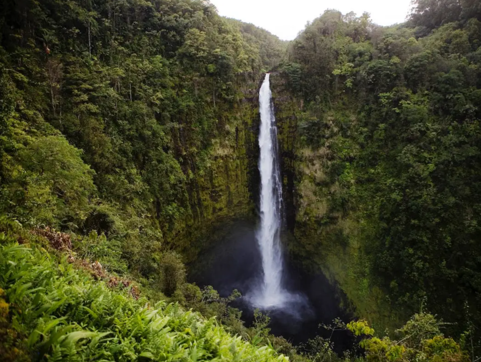 Der berühmte Akaka Wasserfall auf der Big Island in Hawaii. - Copyright: Ted Soqui / Corbis via Getty Images