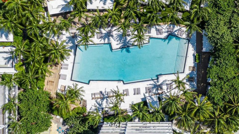 The pool at the W South Beach hotel in Miami Beach.