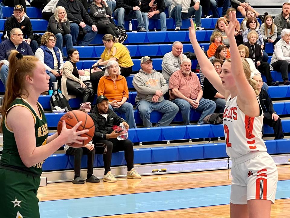 North Union's Audrey Benedict guard Hamilton Township's inbound passer during a Division II girls basketball district semifinal game at Olentangy Berlin Wednesday night.
