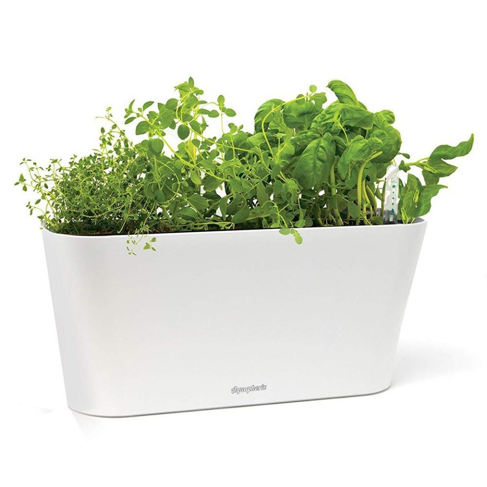 2) Aquaphoric Herb Garden Tub