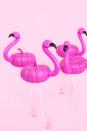 <p>Who knew plastic lawn decorations could look so chic (and seasonal)? Greet trick-or-treaters with Halloween-inspired lawn flamingos by sticking these into your front yard or porch planters.</p><p><a class="link " href="https://www.amazon.com/dp/B00TQ77ZGK?tag=syn-yahoo-20&ascsubtag=%5Bartid%7C10055.g.1566%5Bsrc%7Cyahoo-us" rel="nofollow noopener" target="_blank" data-ylk="slk:SHOP LAWN FLAMINGOS;elm:context_link;itc:0;sec:content-canvas">SHOP LAWN FLAMINGOS</a></p><p><em><a href="http://www.awwsam.com/2016/10/diy-mini-lawn-flamingo-pumpkins.html" rel="nofollow noopener" target="_blank" data-ylk="slk:Get the tutorial at Aww Sam »;elm:context_link;itc:0;sec:content-canvas" class="link ">Get the tutorial at Aww Sam »</a></em></p><p><strong>RELATED: </strong><a href="https://www.goodhousekeeping.com/holidays/halloween-ideas/g1714/no-carve-pumpkin-decorating/" rel="nofollow noopener" target="_blank" data-ylk="slk:60+ No-Carve Pumpkin Ideas for Halloween;elm:context_link;itc:0;sec:content-canvas" class="link ">60+ No-Carve Pumpkin Ideas for Halloween</a></p>