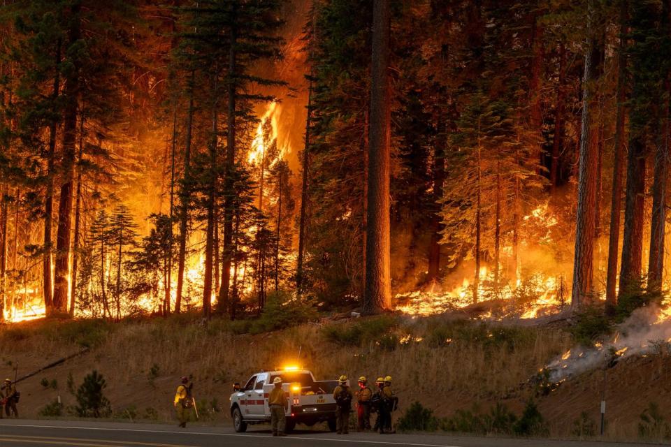 PHOTO: Flames quickly grow as firefighters set a backfire on the eastern front of the Park Fire, which has grown to 360,141 acres and is 12 percent contained, on July 28, 2024 near Chico, California. (David Mcnew/Getty Images)