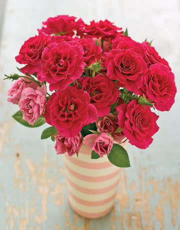 pink flowers in a striped vase