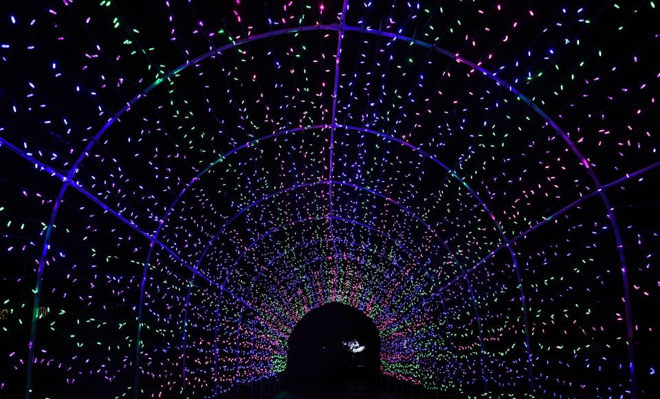 Reiman Gardens' Winter Wonderscape, pictured in 2020, features a variety of immersive light displays.