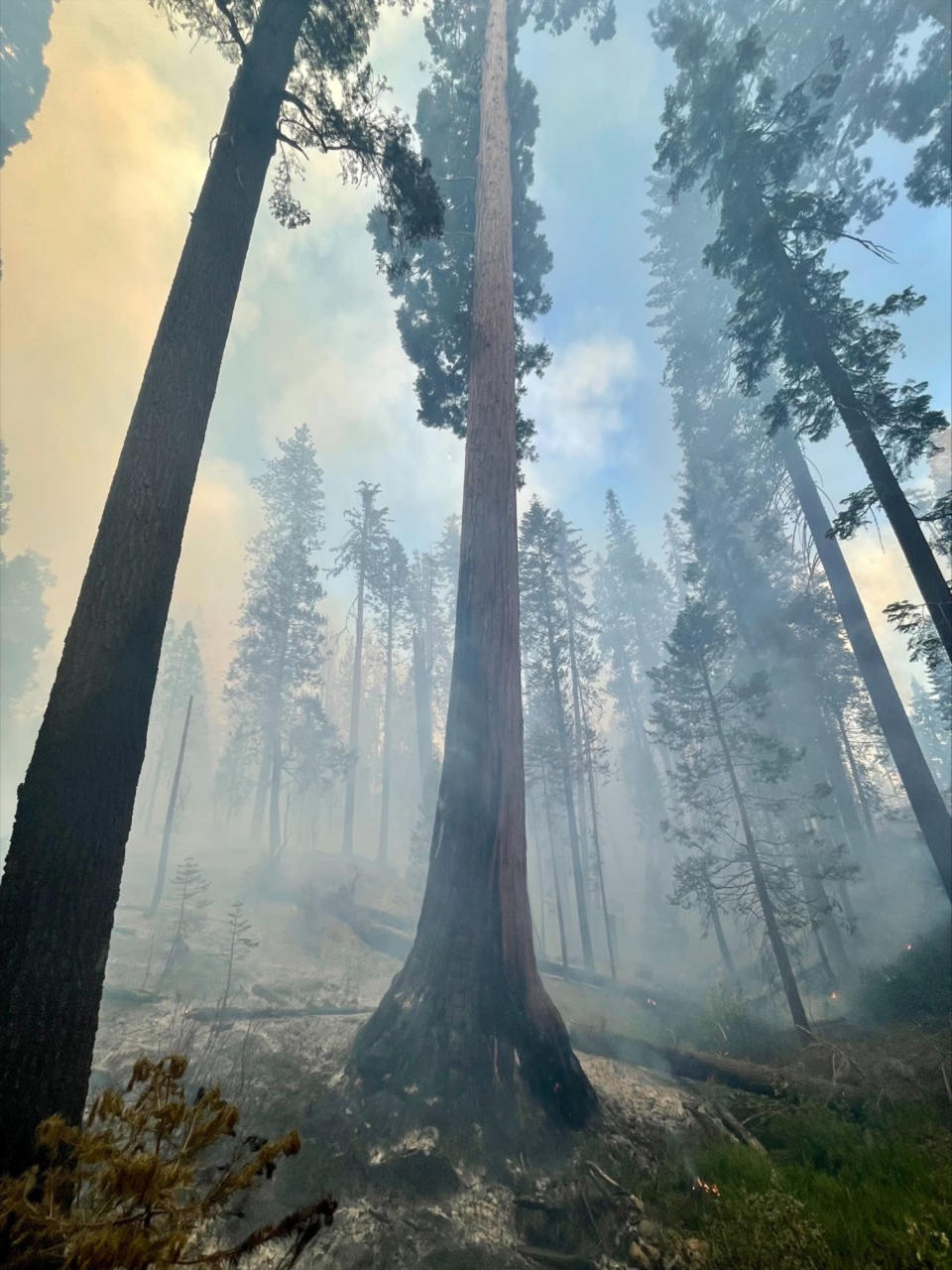 In this photo released by the National Park Service, smoke from the Washburn Fire rises near the lower portion of the Mariposa Grove in Yosemite National Park, Calif., Thursday, July 7, 2022. A portion of Yosemite National Park has been closed as a wildfire rages near a grove of California's famous giant sequoia trees, officials said. (National Park Service via AP)