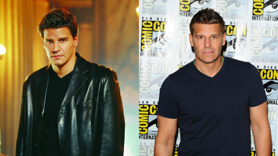 David Boreanaz (Angel) 