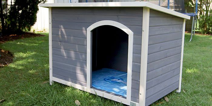 3) Matching Dog House