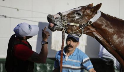 Exercise rider Willie Delgado plays with California Chrome. (AP)