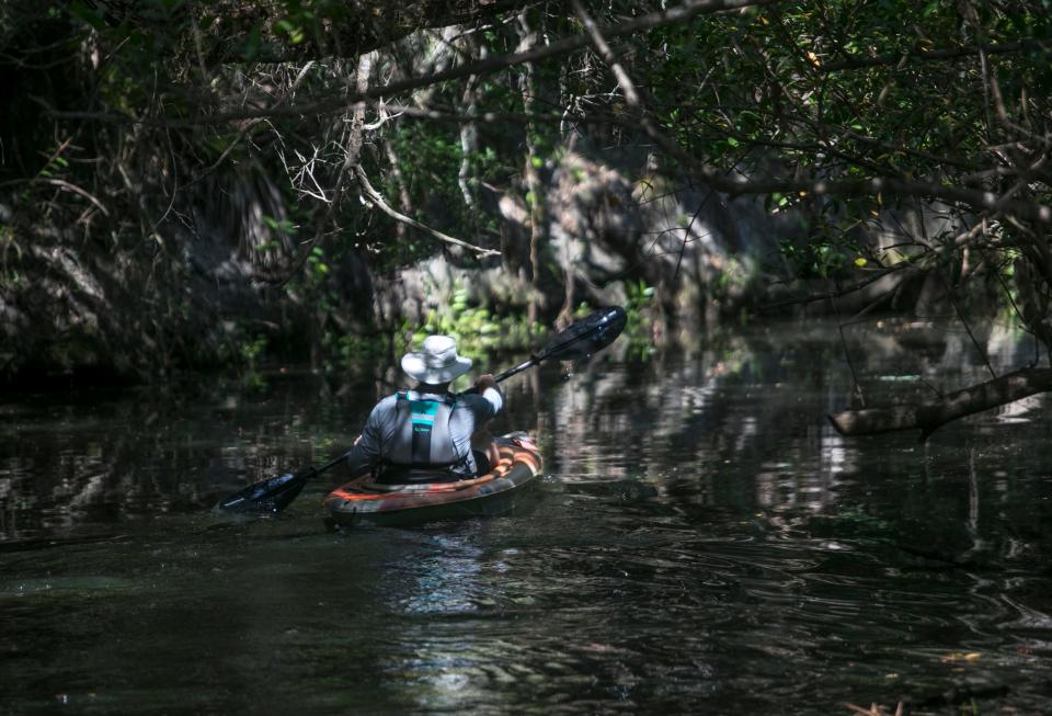 Alan Enis of Columbus, Ohio, kayaks down the Estero River on Thursday, June 27, 2019, in Estero. The river is designated as an Outstanding Florida Waterway, which gives it special protections.