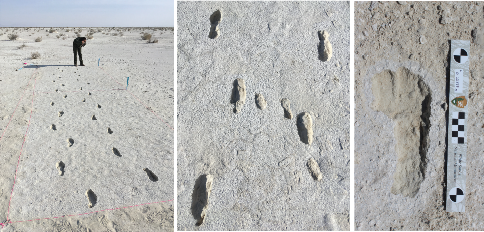 It was believed humans existed in North America somewhere between 13,500 and 16,000 years ago. But researchers say they've confirmed prints found at White Sands National Park are between 21,000 and 23,000 years old. / Credit: NPS