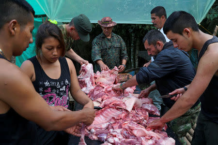 FARC members prepare meat to be cooked for dinner in Los Robles, Colombia, January 25, 2017. REUTERS/Federico Rios