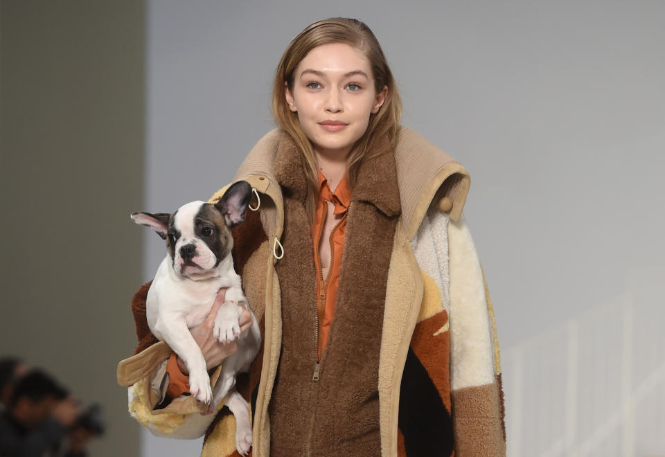 <p>Tierischer Laufsteg-Partner: Model Gigi Hadid trug während der Präsentation der neuen Winterkollektion von Tod’s einen Hundewelpen über den Runway. (Bild: Filippo Monteforte/AFP/Getty Images) </p>