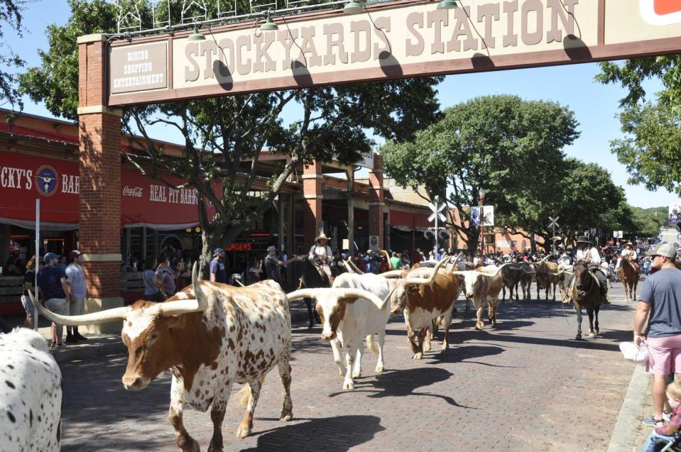 <p><strong>Fort Worth Stockyards</strong></p><p>You know you entered the south when you can catch the world’s only (twice daily) <a href="https://www.fortworthstockyards.org/" rel="nofollow noopener" target="_blank" data-ylk="slk:cattle drive;elm:context_link;itc:0;sec:content-canvas" class="link ">cattle drive</a> where the <a href="https://www.fortworth.com/the-herd/" rel="nofollow noopener" target="_blank" data-ylk="slk:Fort Worth Herd;elm:context_link;itc:0;sec:content-canvas" class="link ">Fort Worth Herd</a> (real Texas cowhands) drives Texas longhorns down East Exchange Avenue. Be sure to stop into family-owned <a href="http://www.leddys.com/index.html" rel="nofollow noopener" target="_blank" data-ylk="slk:M.L. Leddy’s;elm:context_link;itc:0;sec:content-canvas" class="link ">M.L. Leddy’s</a>, a Fort Worth staple since 1922, for custom hand-made cowboy boots, hats and belts.</p>