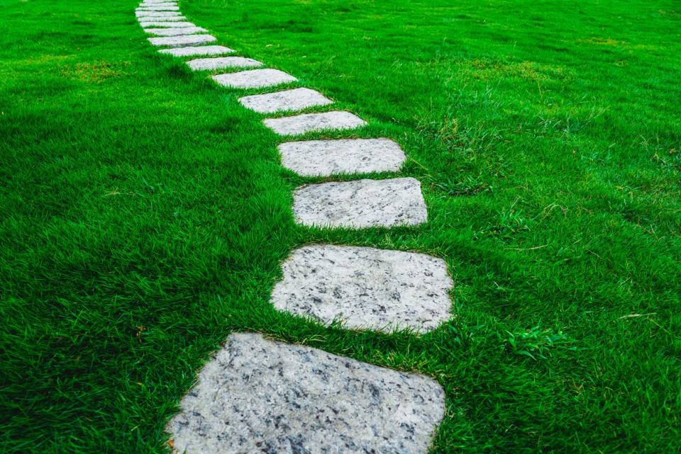 Stone footpath in green grass