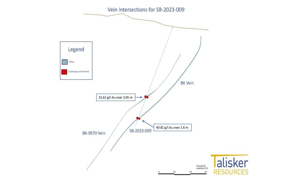 Hole SB-2023-009 intersection on the BK and BK9870 veins within the northwestern portion of the proposed Mustang Mine.