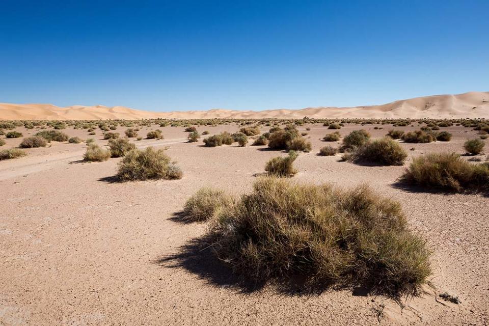 撒哈拉沙漠（Image Source : Getty Creative）